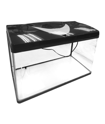 Experience a Panoramic View with The Ecological High-Definition Curved Glass Fish Tank