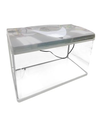 Experience a Panoramic View with The Ecological High-Definition Curved Glass Fish Tank