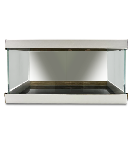 以水晶系列桌面水族箱提升您的工作環境質感