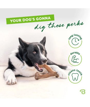 Chew Toy Whishbone /Bacon