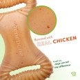 Dental Chew Swing /Chicken