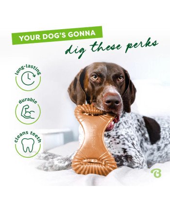 Dental Chew Swing /Chicken