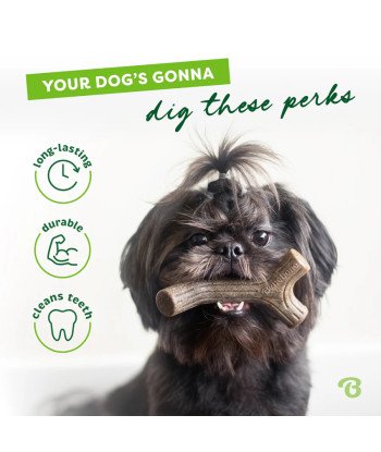 Pack of 2 Dental Chew /Bacon