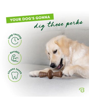 Pack of 2 Dental Chew /Bacon