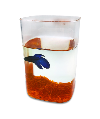 High Borosilicate Glass Mini Terrarium / Aquarium for Betta Small Fish or Fry