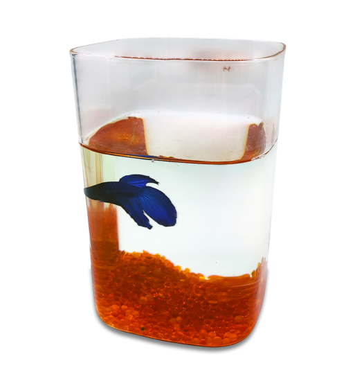 高硼矽酸鹽玻璃迷你生態缸／水族箱，適用於鬥魚幼魚或魚苗等