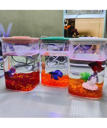 High Borosilicate Glass Mini Terrarium / Aquarium for Betta Small Fish or Fry