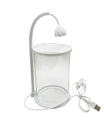 High Borosilicate Glass Mini Terrarium / Aquarium for Betta Small Fish or Fry