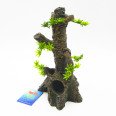 High Pine Tree