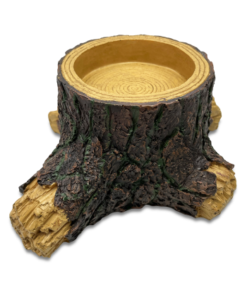 Reptile Stump