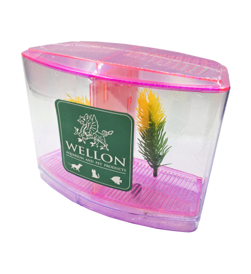 終極多功能鬥魚缸 - 適合鬥魚、魚苗或隔離患病魚類