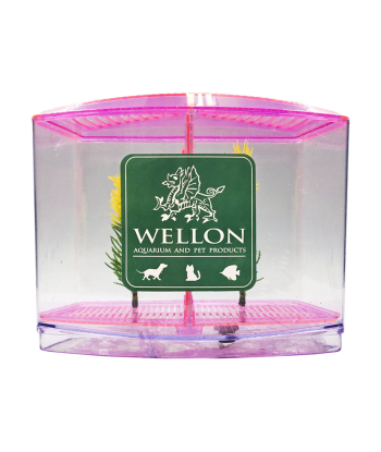 終極多功能鬥魚缸 - 適合鬥魚、魚苗或隔離患病魚類