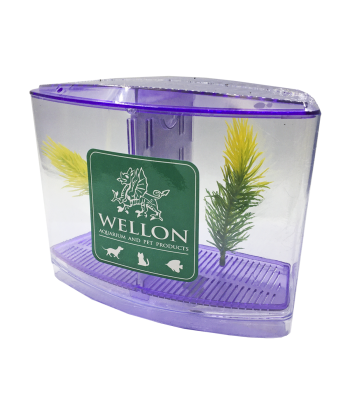 終極多功能鬥魚缸 - 適合鬥魚、魚苗或隔離患病魚類