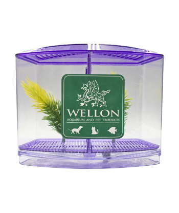 終極多功能鬥魚缸 - 適合鬥魚、魚苗或隔離患病魚類