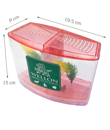 終極多功能鬥魚缸 - 適合鬥魚、魚苗或隔離患病魚類