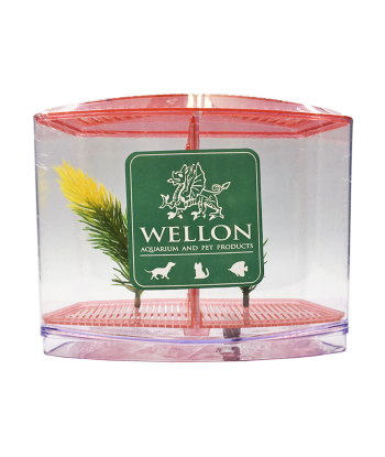 終極多功能鬥魚缸 - 適合鬥魚、魚苗或隔離患病魚類