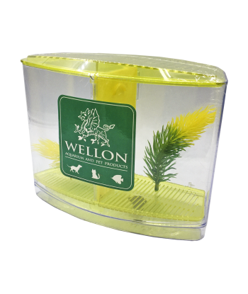 終極多功能鬥魚缸 - 適合鬥魚、魚苗或隔離患病魚類