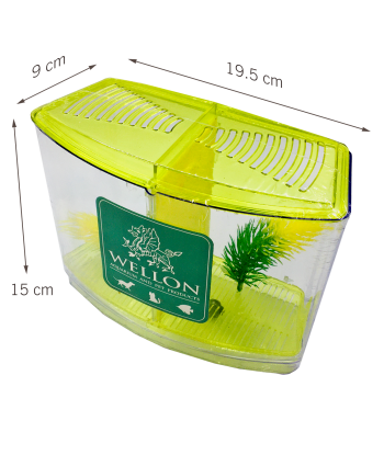 終極多功能鬥魚缸 - 適合鬥魚、魚苗或隔離患病魚類