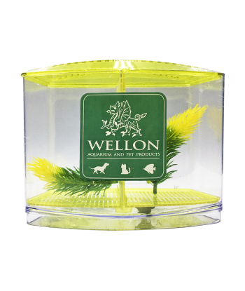 終極多功能鬥魚缸 - 適合鬥魚、魚苗或隔離患病魚類