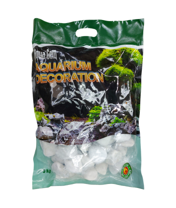 Aqua Gem Egg Stone (L)