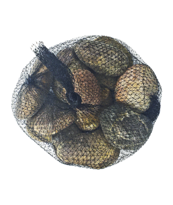 Aqua Gem Red Aragonite Stone