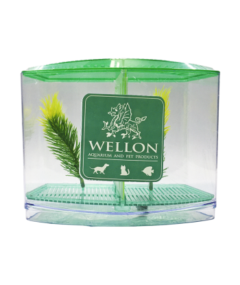 終極多功能鬥魚缸 - 適合鬥魚、魚苗或隔離患病魚類