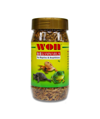 WON 爬蟲 龜蝦糧 40g