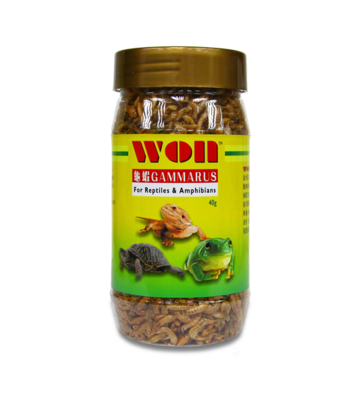 WON Gammarus Reptile 40g