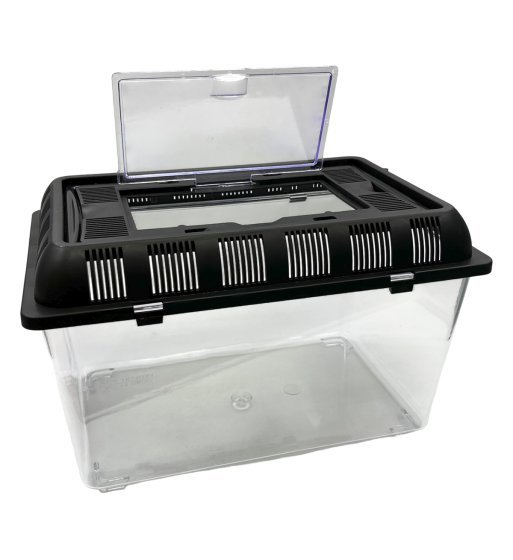 塑膠魚箱 養殖箱 連把手 桌上型魚缸 可攜式水族箱 適用於魚、蝦、烏龜、小動物