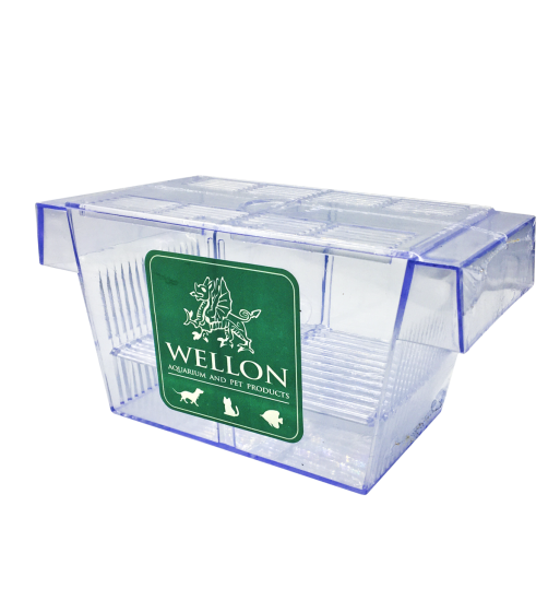 附吸盤的亞克力魚類隔離箱，水族館馴化孵化箱，適用於幼魚 蝦、小丑魚和吳郭魚