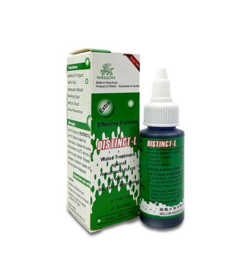 Distinct-L Mouth & Fin rot (Bacterial)