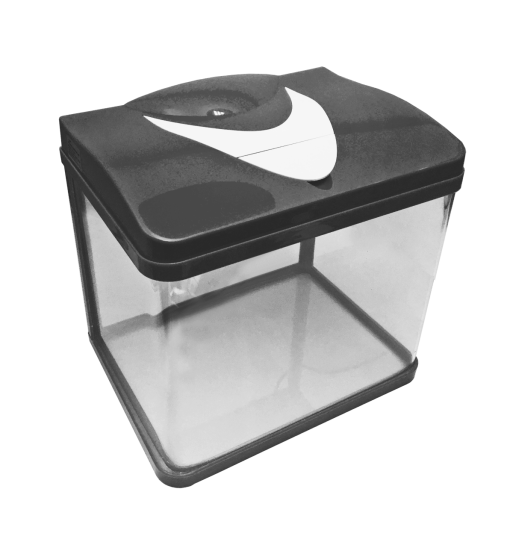 使用生態高畫質弧形玻璃魚缸體驗全景式觀賞