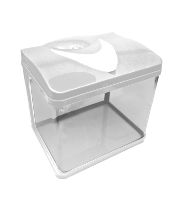 使用生態高畫質弧形玻璃魚缸體驗全景式觀賞