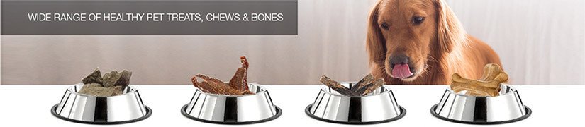 Elevate Your Pet's Experience with Delicious Treats