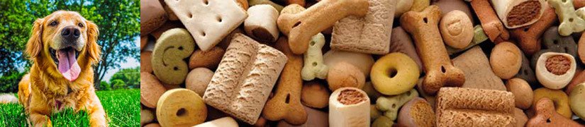 Tempting Oven-Baked Crunchy treats for Your Furry Friend