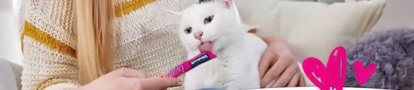 Convenient and Delicious Liquid Snacks for Pets | Perfect as a Meal Topping or Direct Feed