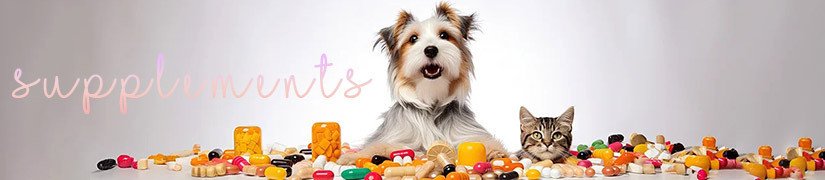 Boost Your Pet's Health with Biologically Active Food Supplements