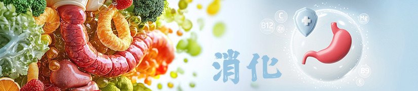 Digestion Problems in Pet: Symptoms Causes and Relief