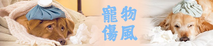 Cold & Flu Natural Supplement for Dogs and Cats - Support Respiratory Health and Alleviate Symptoms