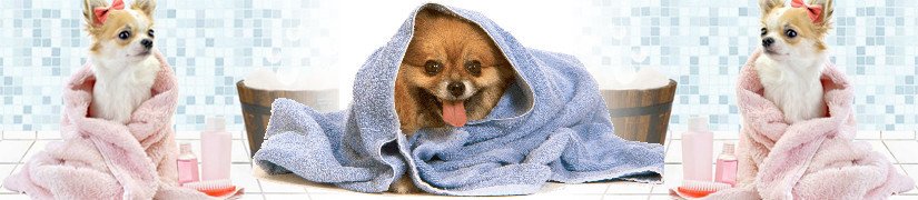 Pamper Your Furry Friends with Luxury Pet SPA Products