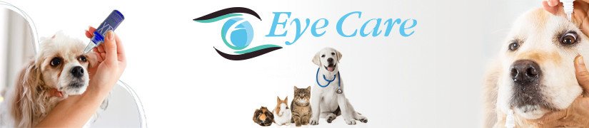 Essential Eye Care Products for Your Pet Eye Hygiene and Protection