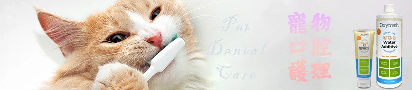 Maintain Your Pet's Dental Health with Oral Care Products for Dogs and Cats