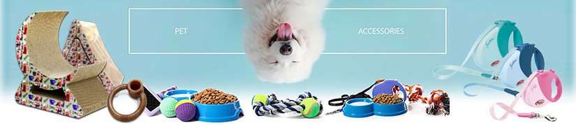 Essential Accessories for Pets and Their Owners