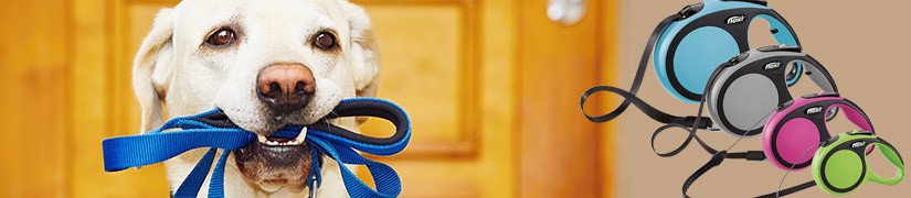 Durable and Comfortable Dog Leashes for Pet Owners Joyful Outside Walks