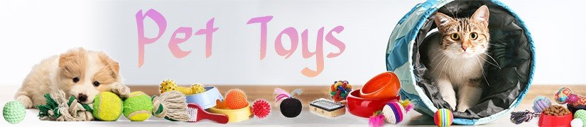 優質寵物玩具，促進其活動、鍛煉牙齒、增進情感連結與精神刺激