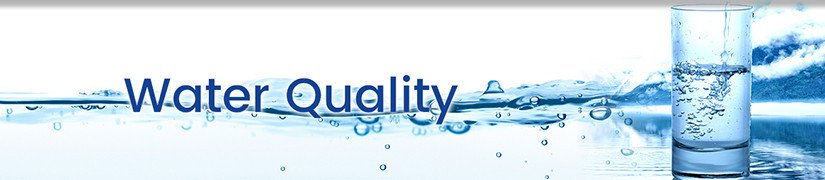 Essential Water Conditioners for Optimal Aquarium Health