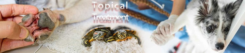 Topical Treatment